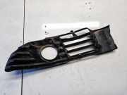 Kühlergrill - Vorne Rechts Volkswagen Passat, B5+ 2000.11 - 2005.05 3b0853666L, 3b0 853 666 L BGW