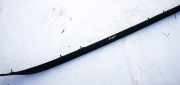 Dachreling Rechts Nissan X-Trail, 2001.06 - 2007.06 738328h300,