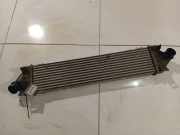 Ladeluftkühler Ford Mondeo, 2007.03 - 2013.06 6G919L440Fe,6G91-9L440-Fe