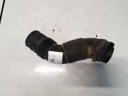 Schlauch für Luftversorgung Volkswagen Polo, IV 2001.09 - 2005.04 6Q0129684P, ASY