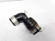 Intercooler Schlauch Audi A3, 8P 2003.05 - 2005.06 038121111A,1T0145790