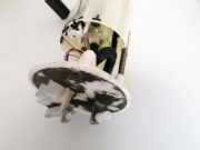 Kraftstoffpumpe Fiat Idea 2003 - 2012 Gebraucht,