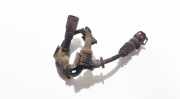 Kabelbaum Opel Signum, 2003.05 - 2008.06 Gebraucht,