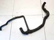 Kühlerschlauch Renault Scenic, III 2009.02 - 2013.06 hsr21494,