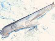 Verkleidung Schweller - Linke Audi A6, C5 2001.08 - 2005.01 facelift Gebraucht,