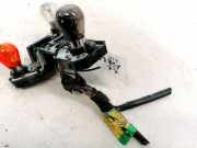 Lampenträger Heckleuchte - Hinten Renault Scenic, I 1996.01 - 1999.09 Gebraucht,