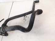 Kühlerschlauch Volkswagen Passat, B5+ 2000.11 - 2005.05 4b0121049,