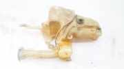 Scheibenwaschbeh?lter Vorne Wischwasserbeh?lter Volvo V40, I 1995.07 - 2000.07 30855249,