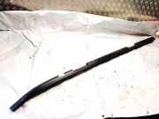 Dachreling Linke Nissan X-Trail, 2007.06 - 2013.01 73821jg000,73821-jg000