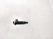 Einspritzdüse BMW X5, E53 facelift 2004 - 2006 7525721,4181a01944