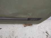 Zierleiste T?r Zier-Schutzleiste - Vorne Rechts Renault Scenic, II 2003.06 - 2006.06 Gebraucht,