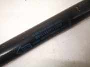 Gasdruckfeder Kofferraum Ford Galaxy, Mk III 2010.06 - 2015.06 facelift 6m21u406a10ae,6m21-u406a10-ae