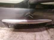 Kennzeichenleuchte Citroen C3, I 2002.02 - 2005.06 Gebraucht,