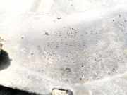 Radhausschale - Vorne Linke Fiat Ducato, 1994.03 - 2002.04 1302064080,