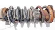 Fahrwerksfeder Hinterachse Peugeot 407, 2004.05 - 2010.12 Gebraucht,