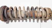 Fahrwerksfeder vorne Honda Accord, 1993.10 - 1997.12 Gebraucht,