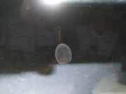 Waschwasserdüse Scheibenreinigung Peugeot 3008, I 2008.01 - 2016.06 Gebraucht,