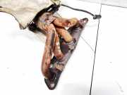 Abgaskrümmer Nissan Qashqai, I 2006.01 - 2010.06 Gebraucht,