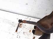 Stabilisator Vorne Mazda 5, CR 2005.02 - 2010.09 Gebraucht,