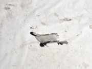 Innenausstattung Volkswagen Touran, 2003.01 - 2006.10 Gebraucht, BRU