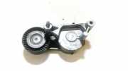 Spannrolle Audi A3, 8P 2003.05 - 2005.06 445010,950445