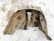 Radhausschale - Vorne Rechts Volkswagen Passat, B5 1996.08 - 2000.11 3b0810972b, ATJ