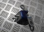 T?rscharnier Vorne Toyota RAV-4, II 2000.09 - 2005.11 Gebraucht,