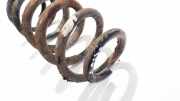 Fahrwerksfeder Hinterachse Toyota RAV-4, III 2005.11 - 2012.12 Gebraucht,