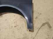 Kotflügel - Vorne Linke Volkswagen Polo, IV 2005.04 - 2009.11 facelift Gebraucht , BME