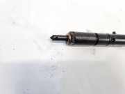 Einspritzdüse Audi A4, B7 2004.11 - 2008.06 059130201G, 0432133786