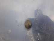 Waschwasserdüse Scheibenreinigung SAAB 9-5, 1997.09 - 2005.11 Gebraucht ,