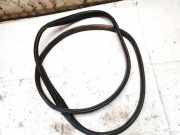 Türdichtung - Hinten Rechts Renault Zoe I 2012 - 2020.06 Gebraucht,