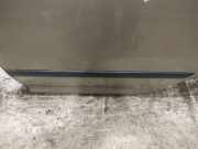 Zierleiste Tür Zier-Schutzleiste - Hinten Linke Skoda Octavia, II 2004.02 - 2009.03 Gebraucht,