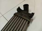 Ladeluftkühler Ford Focus, 2004.11 - 2008.06 Gebraucht ,