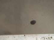 Waschwasserdüse Scheibenreinigung Opel Astra, F 1991.09 - 1998.09 Gebraucht,