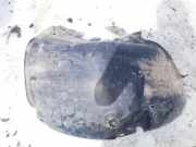 Radhausschale - Vorne Linke Renault Scenic, II 2003.06 - 2006.06 8200136723,