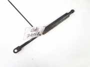 Gasfeder für Motorhaube BMW 5-Series, E39 1995.11 - 2003.06 Gebraucht,