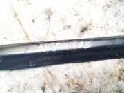 Zierleiste Leiste - Vorne Rechts Hyundai Santa Fe, 2006.03 - 2012.09 Gebraucht,