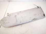 Sonnenblende Volkswagen Transporter, T5 2003.04 - 2009.11 Gebraucht, AXD