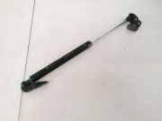 Gasdruckfeder Kofferraum Toyota Aygo, 2005.07 - 2009.12 6895044080,68950-44080