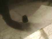 Waschwasserdüse Scheibenreinigung Mazda 6, 2002.06 - 2007.08 Gebraucht,