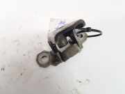 Türscharnier Hinten Renault Espace, IV 2002.11 - 2014.12 Gebraucht,