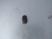 Waschwasserdüse Scheibenreinigung Ford Mondeo, 2007.03 - 2013.06 Gebraucht,