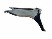 Kotflügel - Vorne Rechts Renault Laguna, III 2007.10 - 2010.11 Pilka,