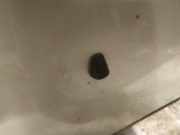 Waschwasserdüse Scheibenreinigung Mazda 6, 2002.06 - 2007.08 Gebraucht,