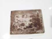 Batterieaufnahme Toyota Yaris, I (XP10) 1999.04 - 2003.03 7443152010, 74431-52010