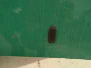 Waschwasserdüse Scheibenreinigung Volkswagen Golf, III 1993.07 - 1999.04 Gebraucht,