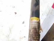 Stabilisator Vorne Peugeot 508, 2010.11 - 2018 95880503180,