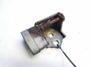 T?rscharnier Hinten Renault Scenic, II 2003.06 - 2006.06 Gebraucht,