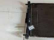 Wasserk?hler Renault Scenic, II 2003.06 - 2006.06 Gebraucht,